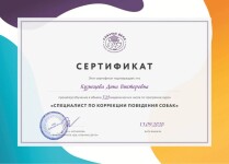 Диплом / сертификат №2 — Кузнецова Дина Викторовна