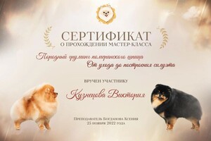 Диплом / сертификат №1 — Кузнецова Виктория Владиславовна