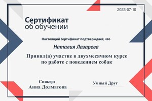 Диплом / сертификат №2 — Лазарева Наталия Андреевна