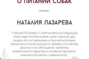 Диплом / сертификат №4 — Лазарева Наталия Андреевна