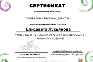 Диплом / сертификат №11 — Лукьянова Елизавета Сергеевна