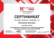 Диплом / сертификат №16 — Матвиенко Виктория Владимировна