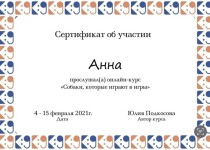 Диплом / сертификат №4 — Неделькина Анна Юрьевна