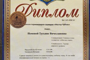 Диплом / сертификат №5 — Немова Татьяна Вячеславовна