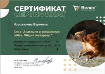 Диплом / сертификат №11 — Новожилова Вероника Сергеевна