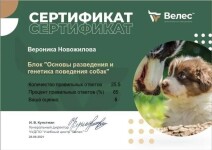 Диплом / сертификат №13 — Новожилова Вероника Сергеевна