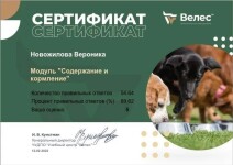 Диплом / сертификат №17 — Новожилова Вероника Сергеевна