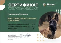 Диплом / сертификат №18 — Новожилова Вероника Сергеевна