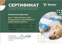 Диплом / сертификат №19 — Новожилова Вероника Сергеевна