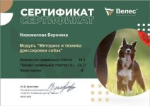 Диплом / сертификат №20 — Новожилова Вероника Сергеевна