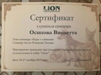 Диплом / сертификат №12 — Осипова Виолетта Михайловна