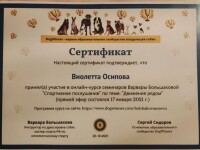 Диплом / сертификат №27 — Осипова Виолетта Михайловна