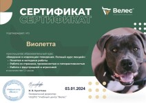 Диплом / сертификат №49 — Осипова Виолетта Михайловна