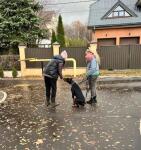 Прикладная следовая работа, группа в воскресенье — Осипова Виолетта Михайловна