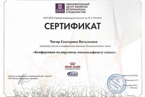 Диплом / сертификат №3 — Чигир Екатерина Витальевна