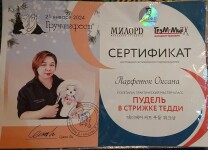 Диплом / сертификат №7 — Парфенюк Оксана Олеговна