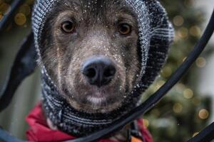 Модель: Эльза — Петрова Оксана Андреевна