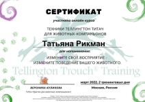 Диплом / сертификат №10 — Рикман Татьяна Николаевна