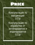 Портфолио №2 — Рогачева Милана Вадимовна