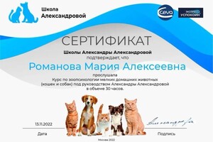 Диплом / сертификат №4 — Романова Мария Алексеевна