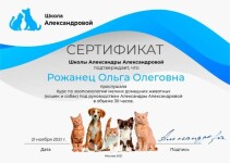 Диплом / сертификат №3 — Рожанец Ольга Олеговна