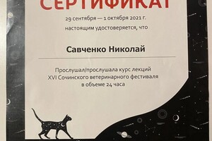 Диплом / сертификат №1 — Савченко Николай Викторович