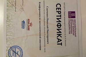 Диплом / сертификат №8 — Савченко Николай Викторович
