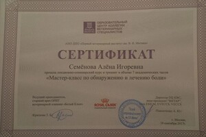 Диплом / сертификат №2 — Семёнова Алёна Игоревна
