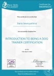 Introduction to being a dog trainer — Северюхина Дарья Вадимовна