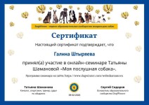 Диплом / сертификат №4 — Штыряева Галина Витальевна