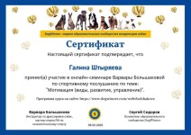 Диплом / сертификат №6 — Штыряева Галина Витальевна