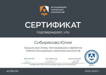 Диплом / сертификат №3 — Сибирякова Юлия Михайловна