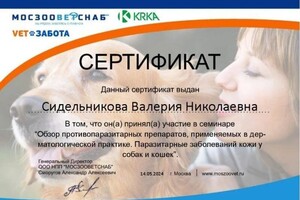 Диплом / сертификат №8 — Сидельникова Валерия Николаевна