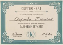 Диплом / сертификат №2 — Смирнова Наталия Ивановна