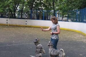 Дрессировка — Соколовская Светлана Сергеевна