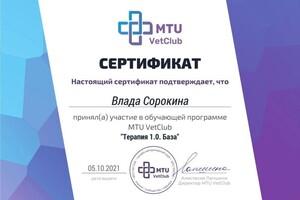 Диплом / сертификат №12 — Сорокина Влада Владиславовна