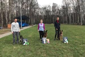 Москва 2019 год — Столярова Екатерина Андреевна