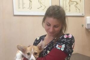 Вакцинация собак и кошек — Тарасова Дарья Александровна