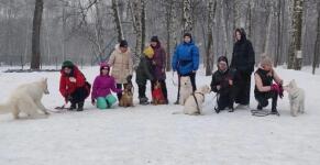 Первое занятие у новой группы щенков — Тучкова Елизавета Сергеевна