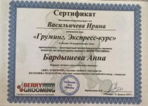 Диплом / сертификат №8 — Васильичева Ирина Алексеевна