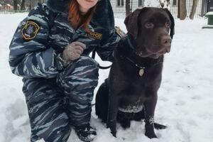 Занимаемся с Шелдоном на передержке — Яремская Мария Алексеевна