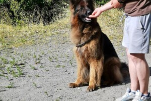 Феоктистов Виктор Владимирович — Портфолио №3