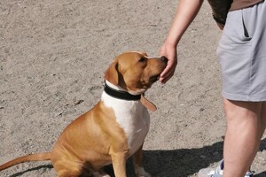 Феоктистов Виктор Владимирович — Портфолио №4