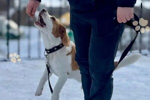 Феоктистов Виктор Владимирович — Портфолио №5