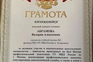 Диплом / сертификат №3 — Абрамова Валерия Алексеевна