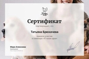 Диплом / сертификат №4 — Брюхачева Татьяна Павловна