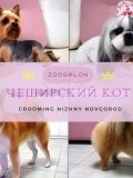 Кот Зоосалон Чеширский — грумер (Нижний Новгород)