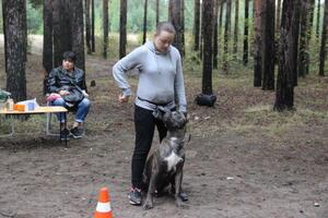 Послушай,дресеровка — Кузнецова Кристина Алексеевна