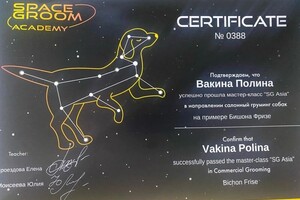 Диплом / сертификат №4 — Вакина Полина Сергеевна