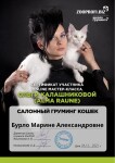 Диплом / сертификат №1 — Бурло Марина Александровна